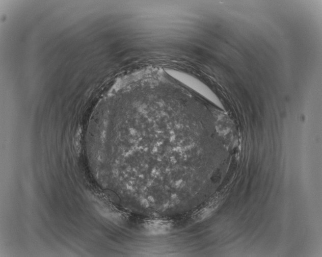 X0000085260319200703231722