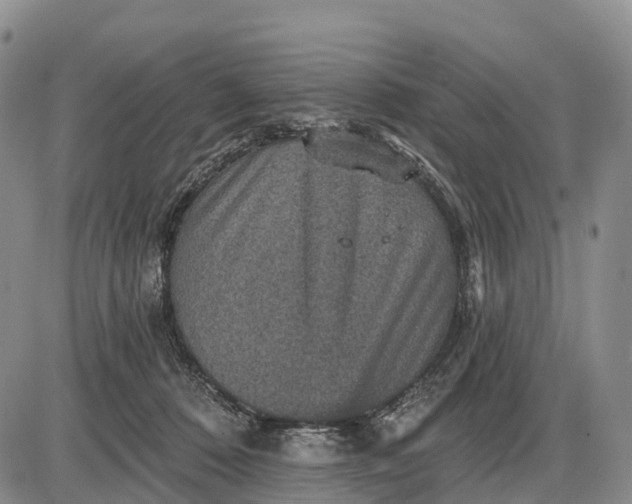 X0000085260320200703231722