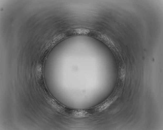 X0000085260321200703231722