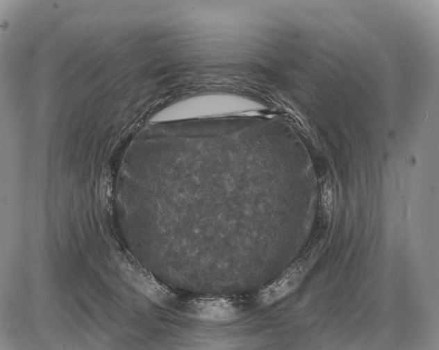 X0000085260322200703231722