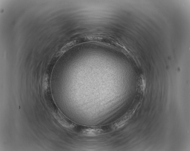 X0000085260323200703231722