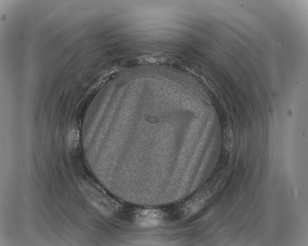 X0000085260324200703231722