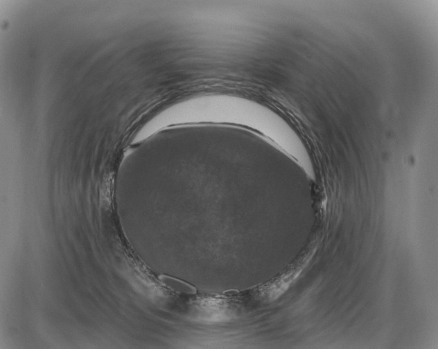 X0000085260325200703231722