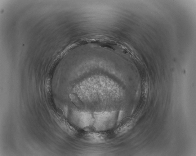 X0000085260326200703231722