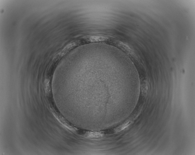 X0000085260327200703231722