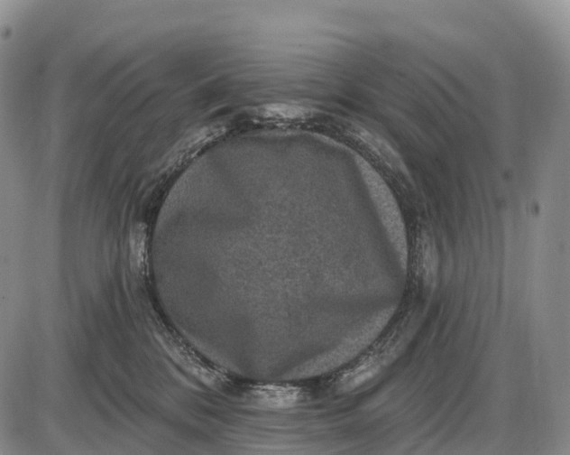 X0000085260328200703231722