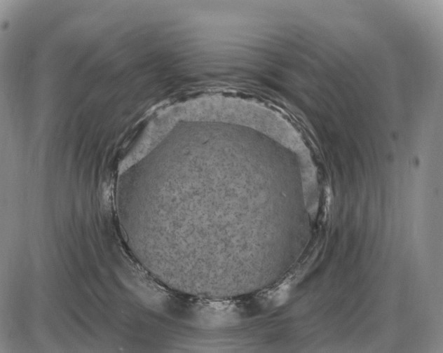 X0000085260329200703231722