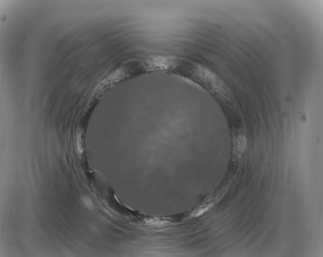 X0000085260331200703231722