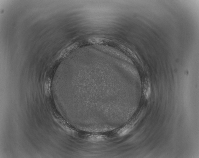 X0000085260332200703231722