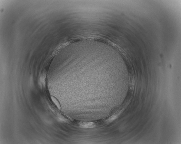 X0000085260334200703231722