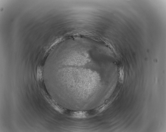 X0000085260335200703231722