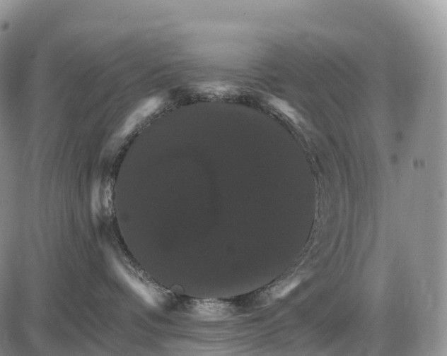 X0000085260336200703231721