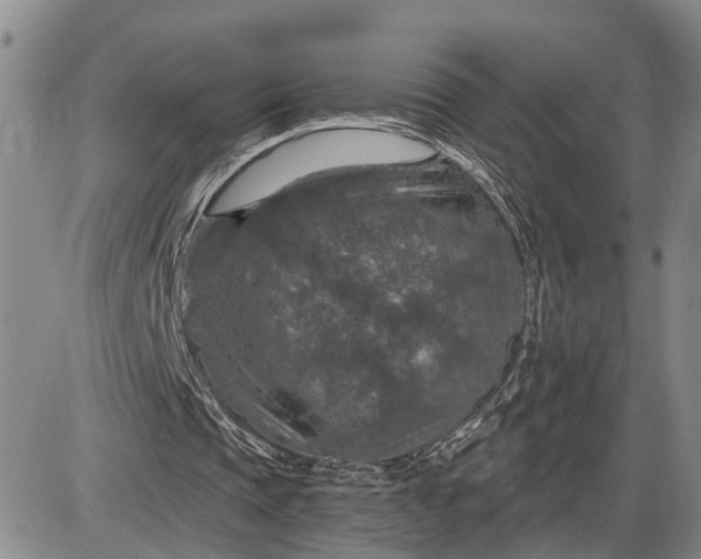 X0000085260337200703231721