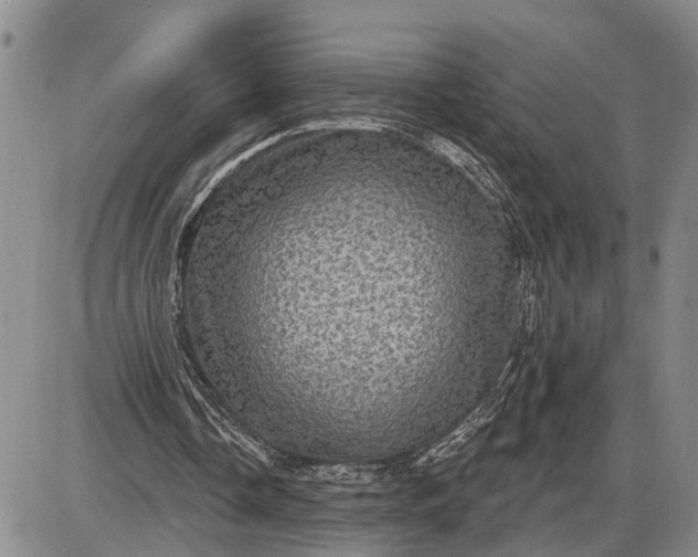 X0000085260338200703231721