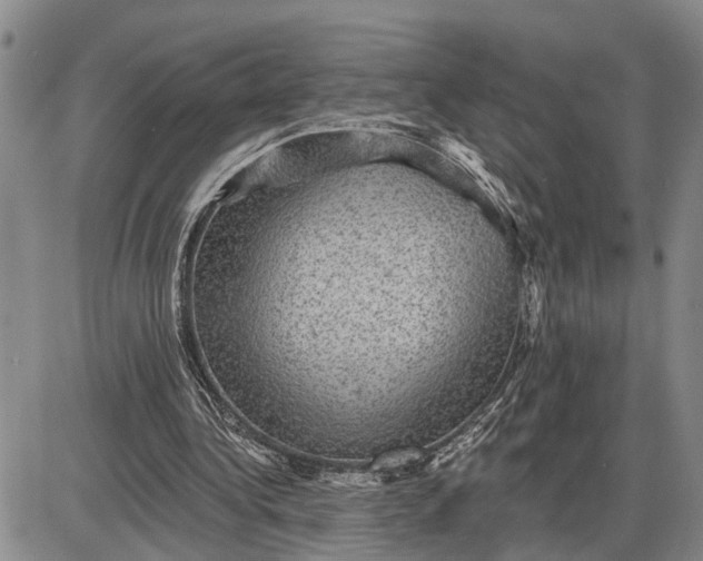 X0000085260340200703231721