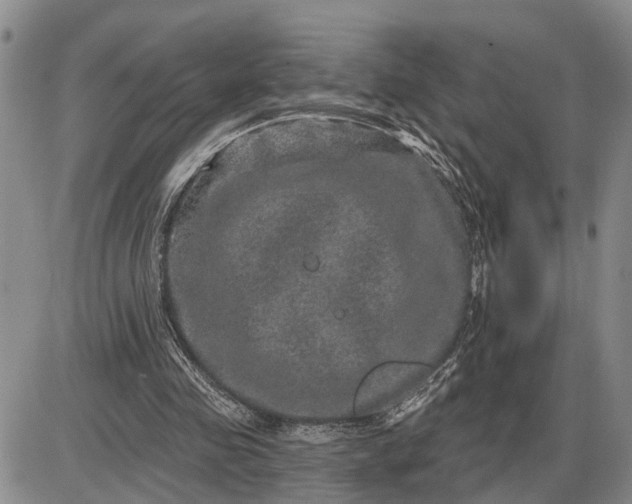 X0000085260341200703231721