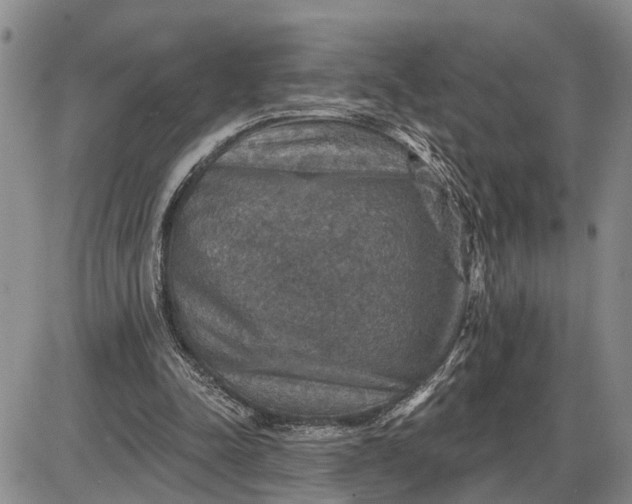 X0000085260342200703231721