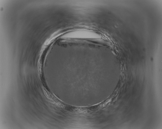 X0000085260343200703231721