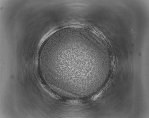 X0000085260344200703231721