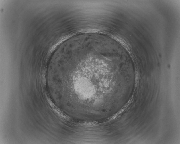 X0000085260345200703231721