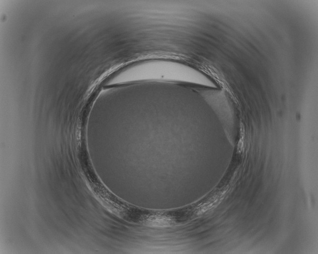 X0000085260348200703231721