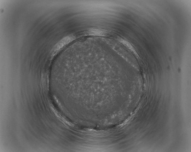 X0000085260349200703231721