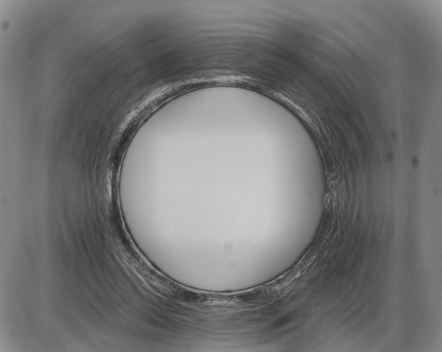 X0000085260350200703231721