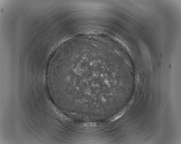 X0000085260353200703231721