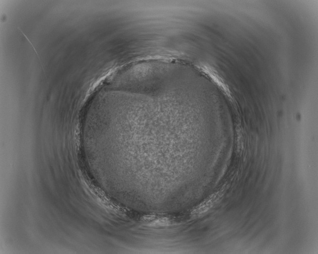 X0000085260354200703231721