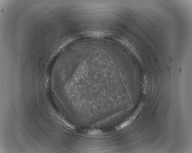 X0000085260355200703231721