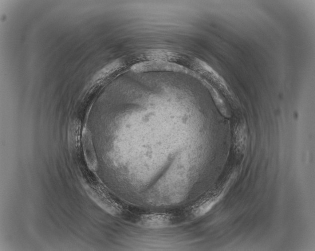 X0000085260356200703231721