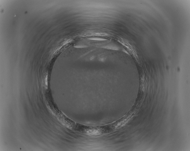 X0000085260358200703231721