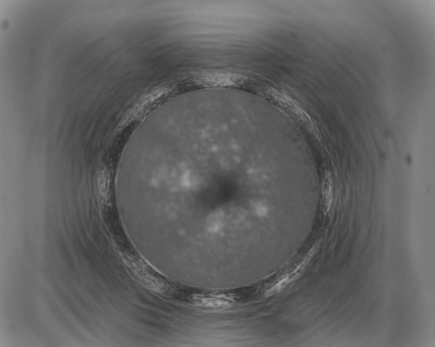 X0000085260359200703231721