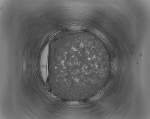 X0000085260361200703231721