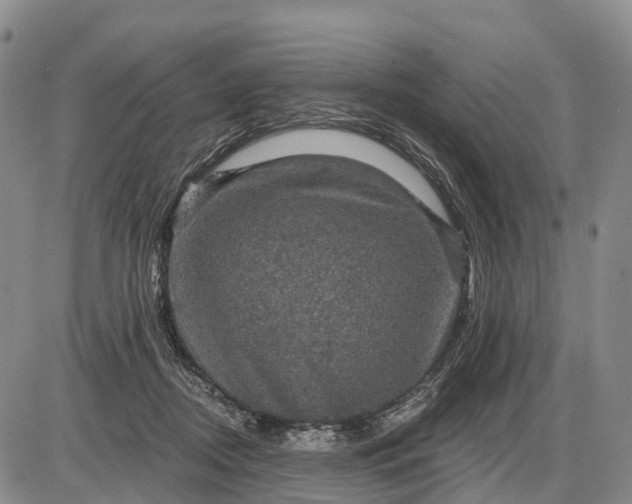 X0000085260362200703231721