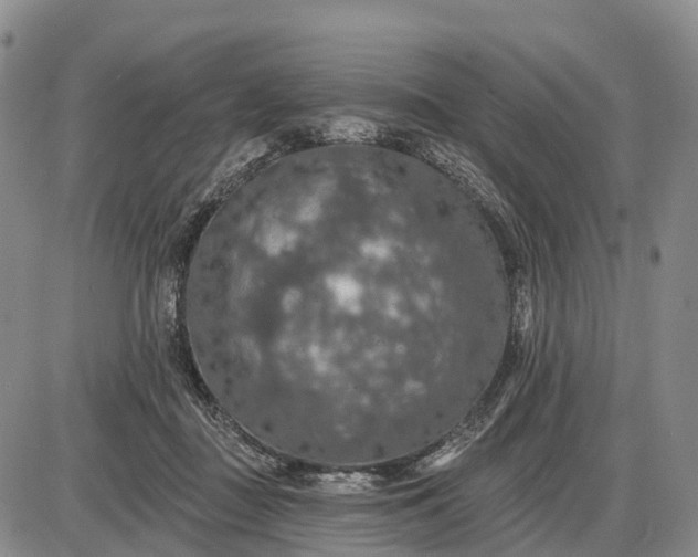 X0000085260363200703231721