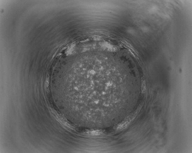 X0000085260365200703231721