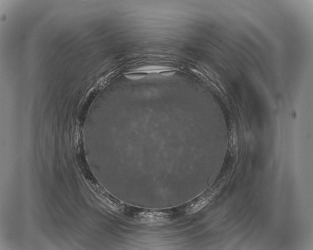 X0000085260367200703231721