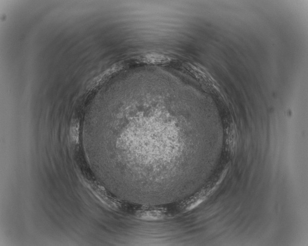 X0000085260368200703231721