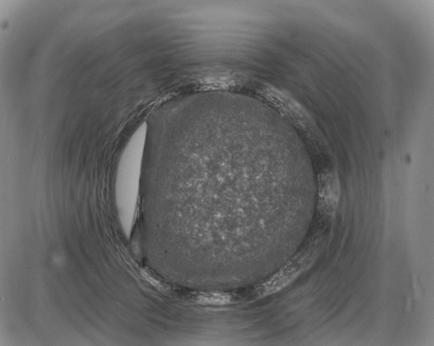 X0000085260369200703231721