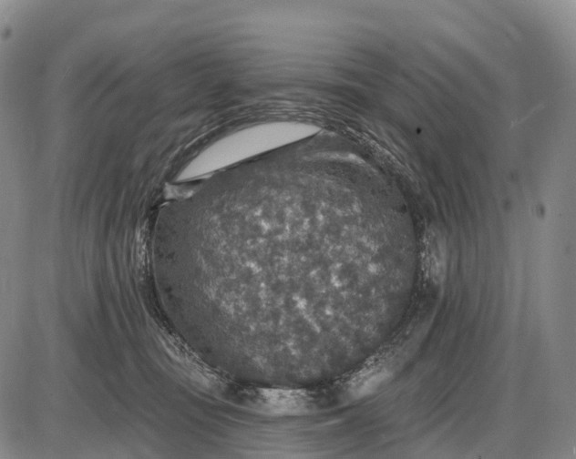 X0000085260371200703231721