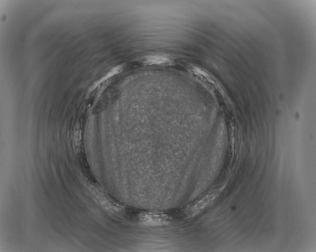 X0000085260372200703231721