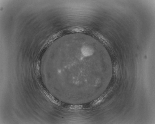 X0000085260373200703231721