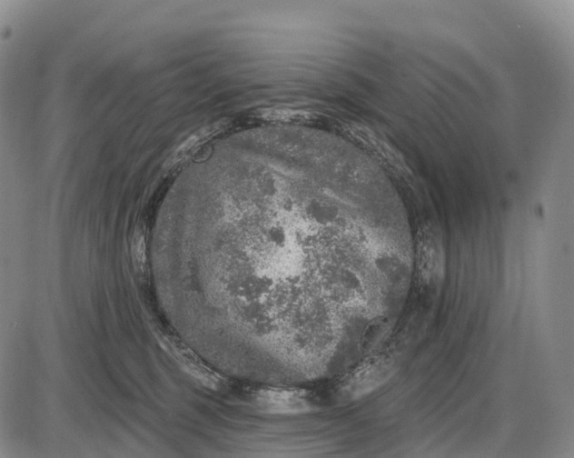 X0000085260375200703231721