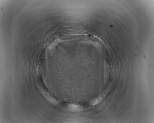 X0000085260380200703231721