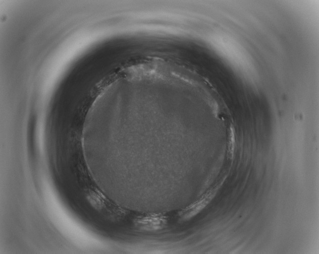 X0000085260383200703231721