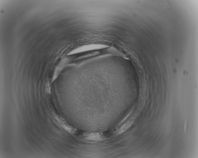 X0000085260384200703231721