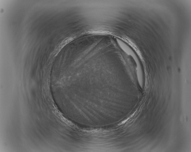 X0000085260385200703231721