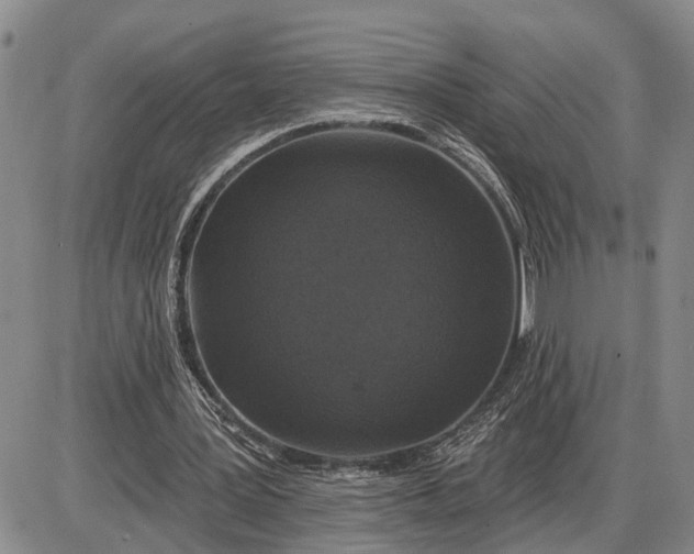 X0000085260387200703231721