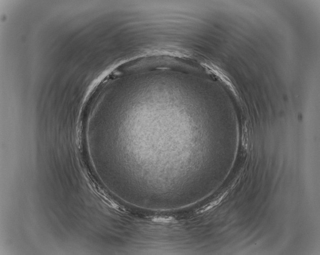 X0000085260388200703231721